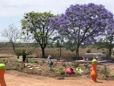 a garden with purple flowers and a purple tree at Horizon small holding in Polokwane
