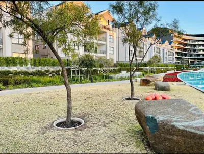 two trees in a park next to a swimming pool at Crystal ace lagoon in Midrand