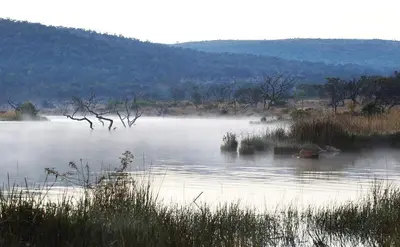 Gallery image of Shambala Private Game Reserve in Vaalwater