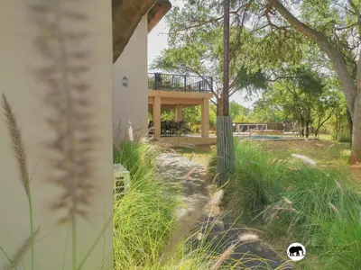 Gallery image of Pumba's Place - Zebula in Warmbaths