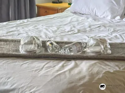 a pair of shoes sitting on top of a bed at Sarabi Lodge - Zebula in Warmbaths
