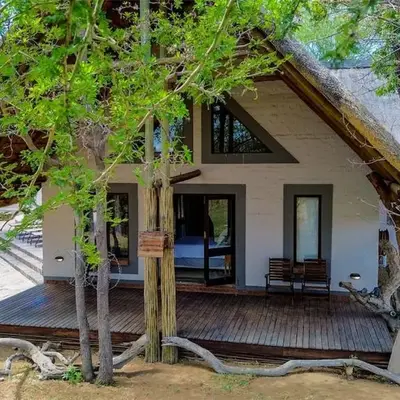 Sarabi Lodge - Zebula