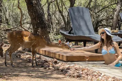 a woman in a bathing suit feeding a deer at Ratel Katel in Marloth Park
