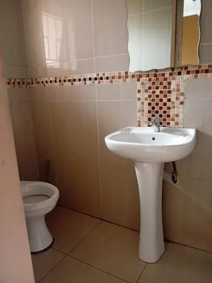 a bathroom with a sink and a toilet at Nomanini Guesthouse in Nelspruit