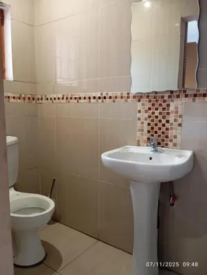 a bathroom with a sink and a toilet at Nomanini Guesthouse in Nelspruit