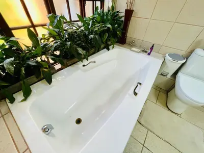 a bathroom with a white bath tub with plants at Waterkloof Heights Guest House in Pretoria