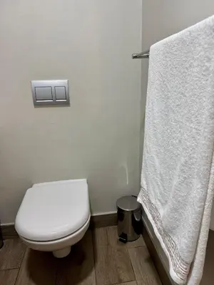 a bathroom with a white toilet and a towel at 214 Executive Suite, in Pretoria