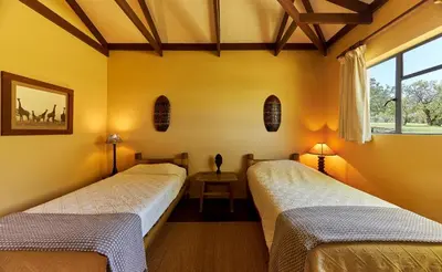 two beds in a room with yellow walls at Geelhoutkop Farm