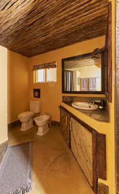a bathroom with a toilet and a sink and a mirror at Geelhoutkop Farm