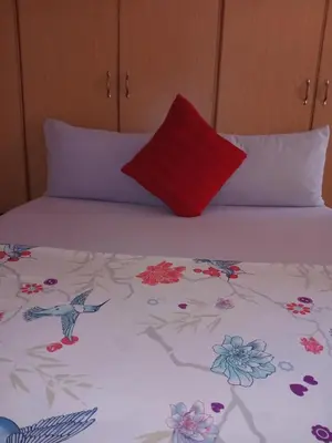 a bed with two pillows and a red pillow at Yana House in Polokwane