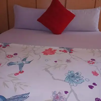 Yana House