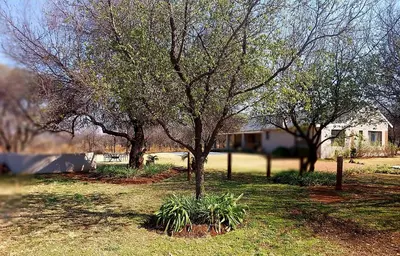 a group of trees in front of a house at Oryx Lodge in Brits