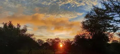 a sunset with the sun in the sky behind trees at Oryx Lodge in Brits