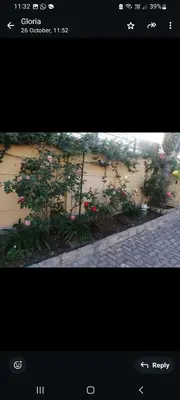 a picture of a garden with flowers on a wall at Limelight in Polokwane