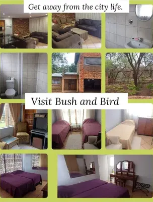 a collage of pictures of a living room at Bufflesdrift Bush and Birding in Pretoria