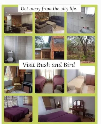 a collage of photos of a living room at Bufflesdrift Bush and Birding in Pretoria