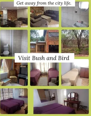 a collage of pictures of a living room at Bufflesdrift Bush and Birding in Pretoria