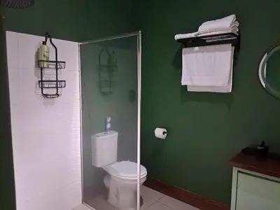 a green bathroom with a toilet and a shower at The Nugget Guest Lodge in Kempton Park