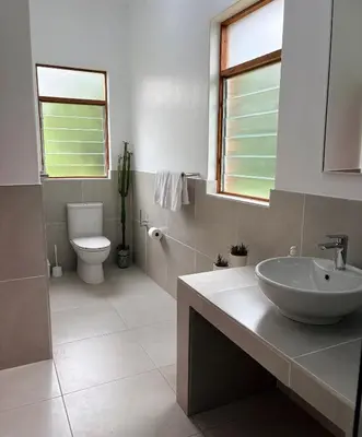 a bathroom with a sink and a toilet at B&B on the Sabie in Sabie
