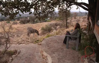 a woman sitting on a bench looking at a zebra at Tierpoort Barn in Mountain in Tierpoort