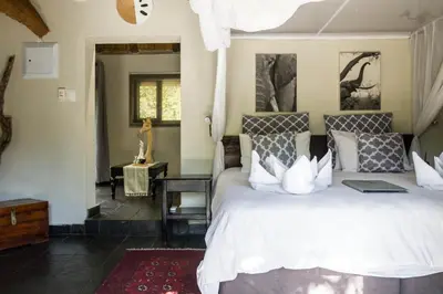 a bedroom with a bed with a laptop on it at Ezulwini Game Lodges in Balule Game Reserve