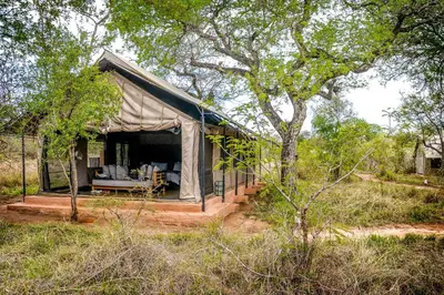 a small tent in the middle of a field at Honeyguide Tented Safari Camp - Khoka Moya in Manyeleti Game Reserve