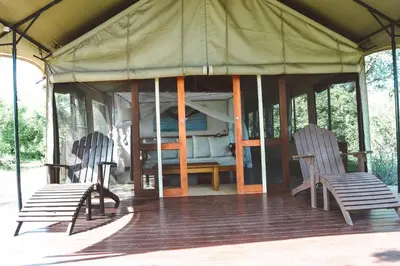 two chairs and a bed in a tent at Honeyguide Tented Safari Camp - Khoka Moya in Manyeleti Game Reserve