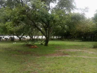 a tree in the middle of a grass field at Sunflower Stables Cottage in the Garden in Midrand
