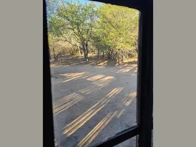 a view from a window of a road with trees at Kruger Boutique Backpackers in Marloth Park