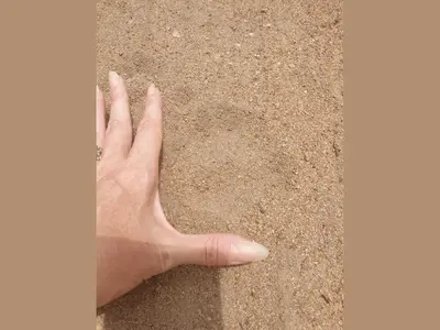 a hand is sticking its finger in the sand at Kruger Boutique Backpackers in Marloth Park