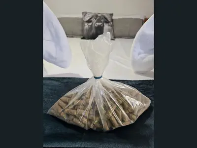 a plastic vase sitting on top of a bed at Kruger Boutique Backpackers in Marloth Park