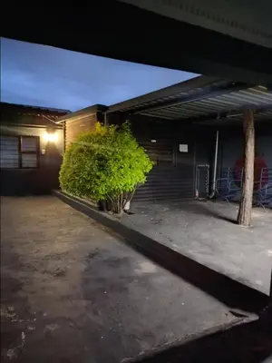 a building with two plants in a parking lot at Madiva Nelspruit Guest House in Nelspruit