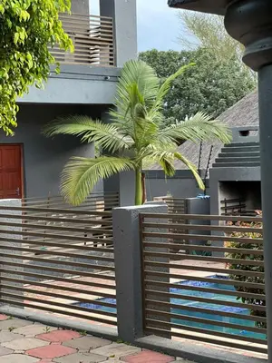 a palm tree in a planter in front of a house at Madiva Nelspruit Guest House in Nelspruit