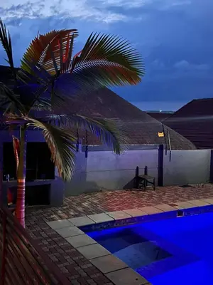 a palm tree in front of a house with a pool at Madiva Nelspruit Guest House in Nelspruit