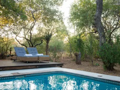 a swimming pool with two chairs and a table and trees at Nzenga Lodge in Hoedspruit
