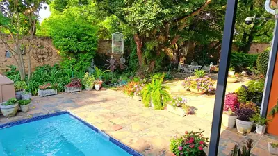 a swimming pool in a garden with potted plants at 34th on Pierneef in Pretoria