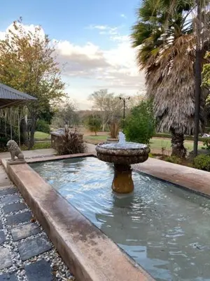 a fountain in the middle of a pool of water at Old Mine Guesthouse in Musina