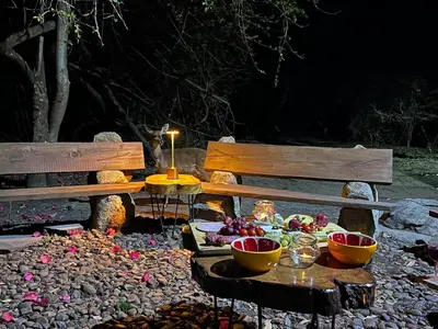 a park bench with a table and bowls of food at Reverie Safari Lodge, Marloth Park in Marloth Park