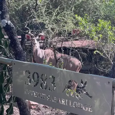 Reverie Safari Lodge