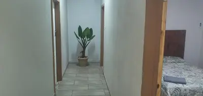 a hallway with a potted plant next to a bedroom at 329 on 30th Avenue Villieria Justin in Pretoria