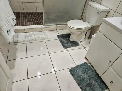 a bathroom with a toilet and a shower with rugs at The M GuestHouse in Kempton Park