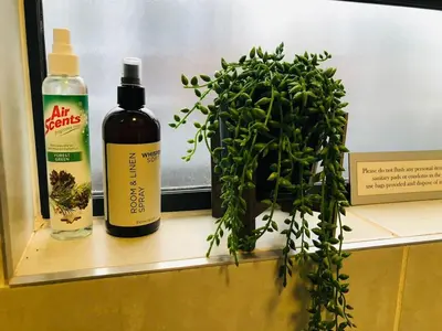 a bottle of alcohol and a plant on a shelf at Apartment at the Blyde in Pretoria