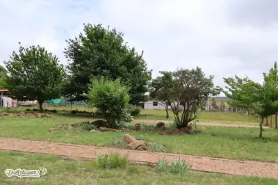 a field with trees and a dirt road at Amber & Birch in Dullstroom