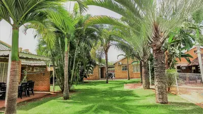 a group of palm trees in a yard at Hoogland Spa Resort Bela Bela in Bela-Bela