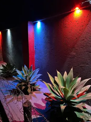two plants sitting on a table in front of a wall at Lakeboutiquehotel empire new in Thohoyandou