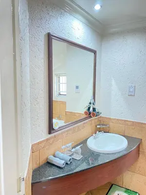 a bathroom with a sink and a large mirror at Glen Gory stay in Benoni