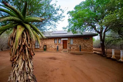 a brick house with a palm tree in front of it at Manor by My Adventure House in Marloth Park