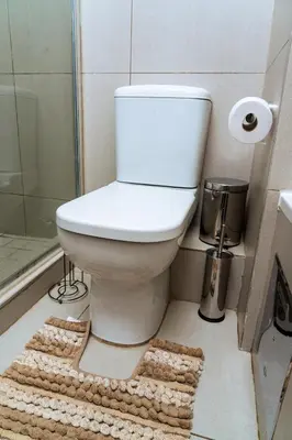 a bathroom with a toilet and a rug at Modern 3-Bedroom Retreat Fully Equipped Comfort in Midrand