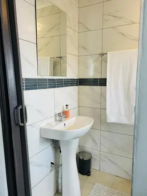 a bathroom with a white sink and a mirror at Rugare Haven in Kempton Park