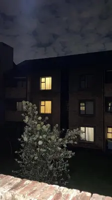a building at night with a tree in front of it at Unmatched Stays in Kempton Park